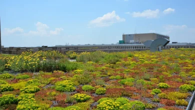 بام سبز گسترده یا روف گاردن گسترده