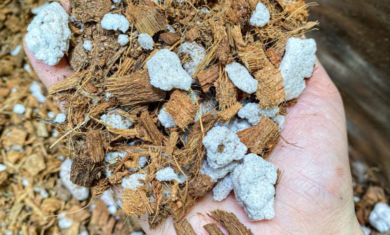 بهترین ترکیب خاک روفگاردن و بام سبز