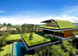 برآورد قیمت اجرای بام سبز Roof Garden