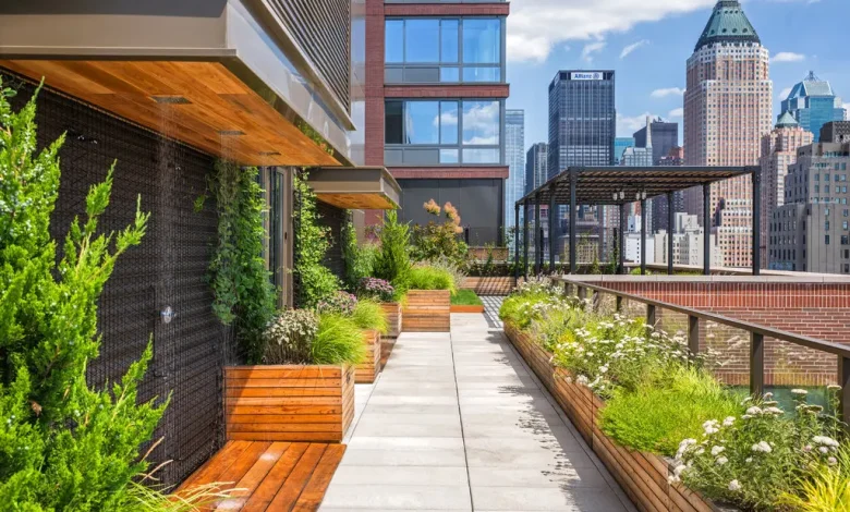 rooftop and green roof