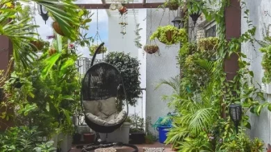 ویژگی بارزتراس سبزچیست