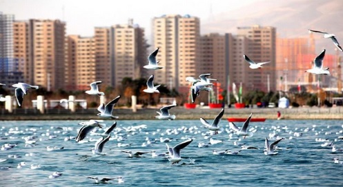 ساخت برکه مصنوعی باژئوممبران