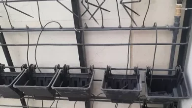 مجری آبیاری دیوارسبزوگرین وال