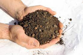 خاک سبک روف گاردن چه خاکی است؟