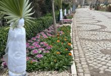 بهترین روش کنترل سرمازدگی