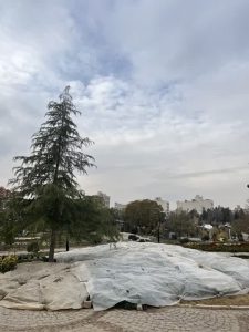 بهترین روش برای کنترل سرمازدگی پوشش گیاهی