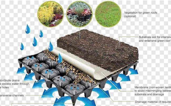 نقش زهکش در روفگاردن